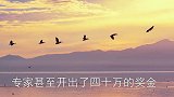专家开出40万悬赏，求人解答“悬棺之谜”，最终得出这3种答案