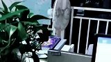 深夜独自在办公室加班，没插电的风扇转个不停