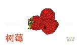水果简笔画大全，画卡通树莓简笔画