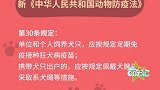 为了狗狗的健康，接种狂犬疫苗时应该注意这些
