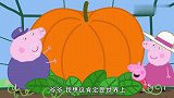 小猪佩奇：快来看猪爷爷的温室，里面有个巨型南瓜，太壮观了