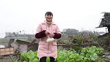 丫丫今天做腰缠万贯，外皮香酥脆，一口一个，巴适得板