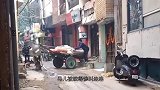 男子带着斗牛犬外出，不料它竟然想斗牛，主人劝都劝不住