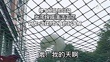 总乱扔垃圾，女子快成清洁工了