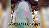 美人鱼在泛绿“臭水沟”里表演？景区回应网友吐槽：过滤系统坏了