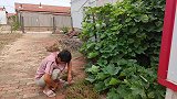 对象去小凯家发现家里没人，小凯一进门就慌忙躲藏，发生了啥？