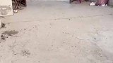 你永远不知道孩子能从兜里掏出什么