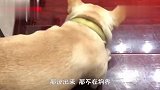 别说下雪就是下刀子，我也得把分子钱吃回来