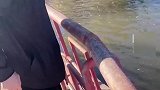 男子许愿要爱情吓跑锦鲤
