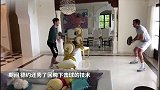 憋坏了！网球隔离在家用平底锅打网球