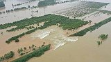 一级响应！阳新富河水位已超1998年 全省超900万人次受灾