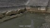 洪泽湖水位下降，找到300年前大墓，专家：终于等到你！