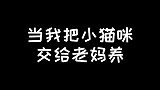 当把猫交给老妈养，猫都快气疯了，人家就想安静待着，有这么难吗