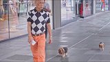 成都潮人原来这么壕，尤其是最后一位