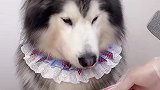 从天亮吃到天黑这也太墨迹了
