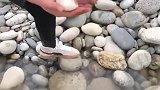 没有玉化好的鹅卵石，要是玉化好就是几百万，能在北京买一套房