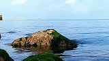 蓝天白云，大海青苔，微风不燥，青岛美哉！