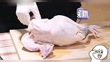 要被王一博的神操作笑死，助理一语道破天机，酷盖：原来这样