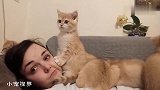 把主人当垫脚石的小奶猫，化身土拨鼠：别动，那边有动静