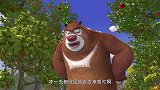 熊出没：森林里来一个新猴子，要挑战吉吉的国王位子，有好戏看了