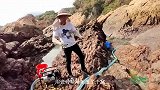 用瓷砖设陷阱引诱鱼群，没想到困住两百一斤的野货，太刺激了