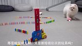 今天又是平平无奇的一天，好烦，富二代的日子真的那么无聊吗