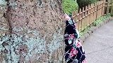 日本姑娘火了，带她出去玩也这么皮，露脸那一刻，我承认心动了