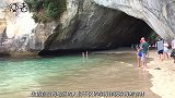难怪海豚喜欢人类，专家将声波转成图片，看到人类在它眼中的样子