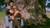 只有芸知道，以前我不相信一见钟情，遇见你之后我信了