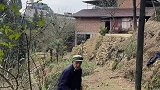 四川方言猴子帮爷爷干活
