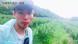 插树岭这位朴实的农村大哥，电视台都来采访了，看看到底咋回事