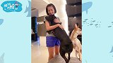 34岁女星突然官宣离婚，前夫身价过亿，曾写300封信才打动她