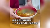 顾客吃面发现碗里有完整死老鼠，商家：顾客取饮料时从顶上掉落