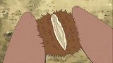 蜡笔小新妮妮妈妈捡的都是空壳，野原父子合作不错