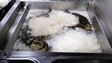 街头小店的猪排午餐饭，看着太有食欲了