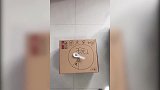 综合-17年-国庆长假训练还是玩耍？泥石流张国伟已经崩溃-专题