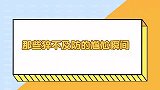 爆笑：这鸽子真是犟啊