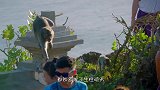 峨眉山猴子最怕的东西，拿出来一亮，猴子看见就躲