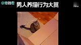 男生养猫行为鉴赏