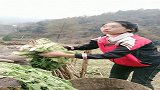 参加前任的婚礼，瞬间变美