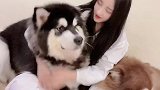 当然要拍照记录啊，他们又不是永远无忧无虑