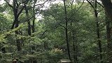 这分贝不亚于城市的噪音，但却让人宁静……