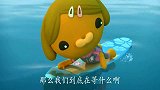 海底小纵队：蜗牛冲浪被浪卷走，小纵队为救蜗牛，把船变成了飞机