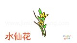 植物简笔画大全，画纤细的水仙花简笔画