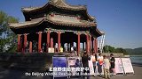 #2024国际短视频大赛 优秀作品：《北京雨燕的家书：第三期 新家》