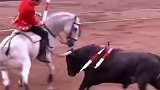 骑马斗牛，这场面太厉害了！