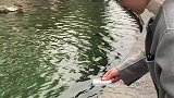 女子去景区游玩看见许愿池，没想到她竟然刷卡许愿