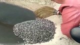 大妈，手拿开，让我来！