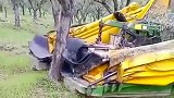 用这种机器采收果实，可比人工的效率快了不少，简直不要太方便了