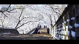 #冰天雪地也是金山银山｜东陵映雪 视频来源：辽宁龙邦慧智传播事业有限公司  #冬日雪暖阳